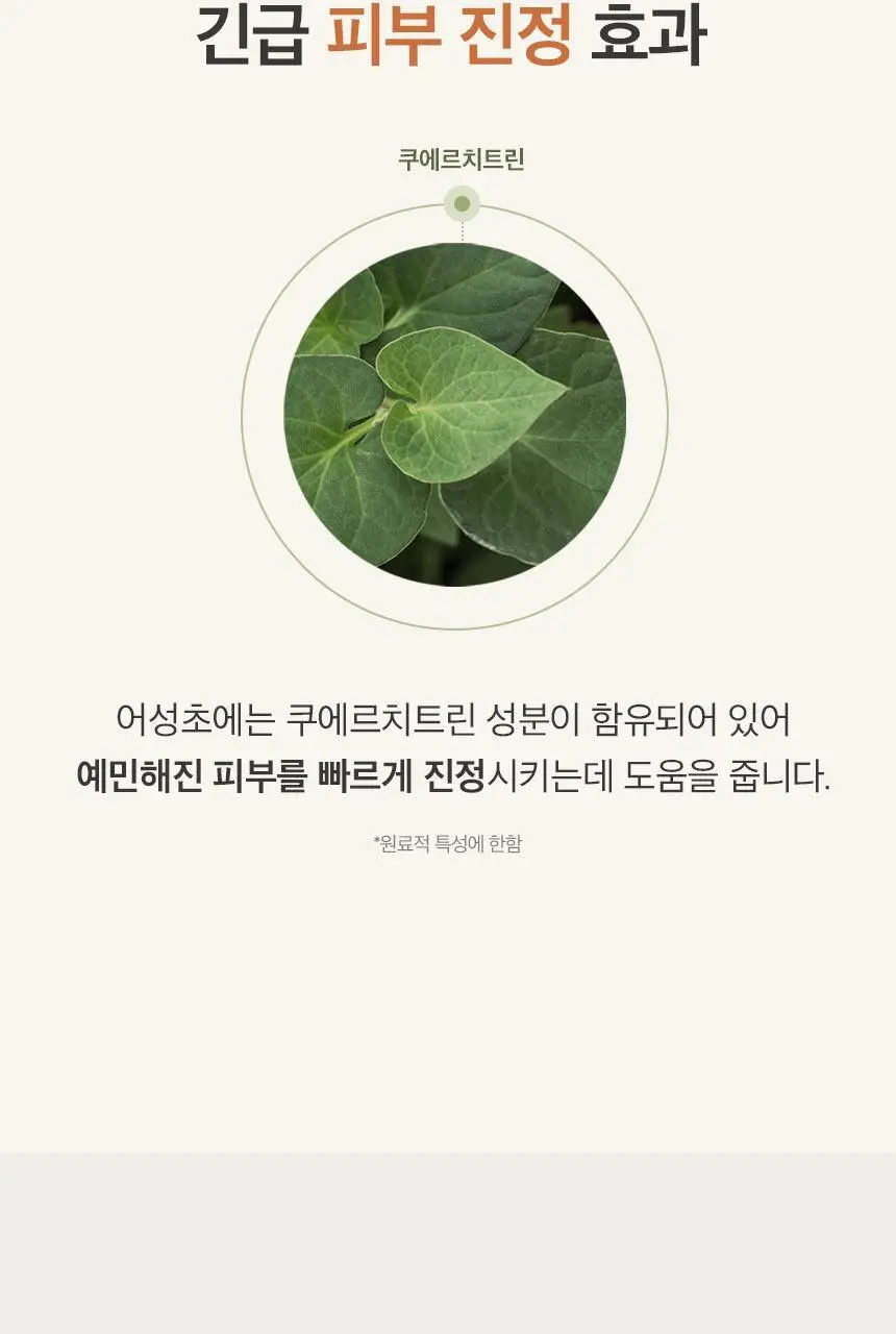 [트러블완화/진정] 원씽 어성초 추출물 토너 150ml 상세페이지 8